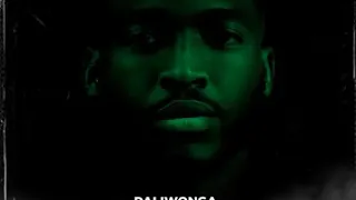 daliwonga bambinja feat mdu aka trp u0026 bongza official audio