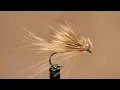 CDC Elk