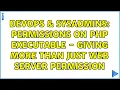 DevOps SysAdmins Permissions on PHP executable - Giving more than just web server permission