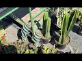 SUNSET CLIFFS KOBY SWAP MEET SAN DIEGO CALIFORNIA vanlife day 1051