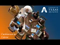 Joining and Engaging in a Conference in Canvas - University of Texas at Arlington