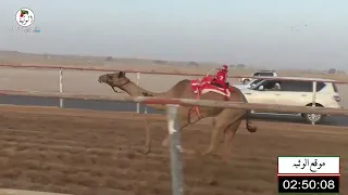 الشوط 5 الشاهينيه لـ هزاع حمد محمد الدرعي 4 41 44 شارة الديوان 2022 9 30 حقايق الرقيعات 