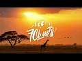 Felo Le Tee & Myztro - 66 (Lyrics)