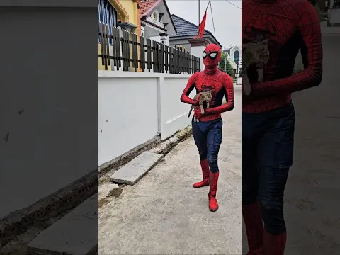 Spiderman đã cướp đồ ăn cho mèo con...🐈😭😭 #shorts #spiderman