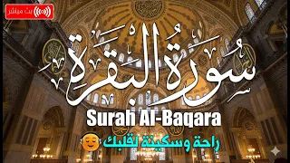 سورة البقرة كاملة مكتوبة ومسموعة | للرزق والحسد والسحر - لا تتركها في بيتك