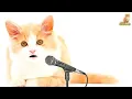 Download Lagu WAHIDUN SATU | KUCING BELAJAR BERHITUNG | Kucing Sholawat