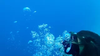 A Cave, Cliff Jumping & The Deepest Blue Hole (Sailing Curiosity)