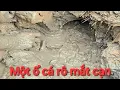 Download Lagu 89 | Dậm dấu mò hang trúng ổ cá rô