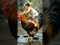 Download Lagu Baby sitting on a cock 🤣🤣#very funny#cute#baby#cock