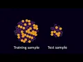 Visual Introduction to Predictive Modelling