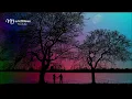 陳淑樺《 煙雨斜陽 》曲：劉家昌  詞：莊奴  ♥ ♪♫*•