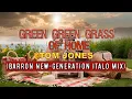 Download Lagu Tom Jones - Green Green Grass of Home (Barron New-Generation Italo Mix)