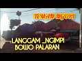 Download Lagu Gending Jawa, Langgam Ngimpi Bowo Palaran @suradiputrojawi1
