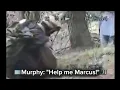 Operation Red Wings Taliban footage of Navy Seals with enhanced