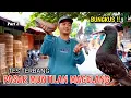 Download Lagu HUNTING MERPATI GIRINGAN DIPASAR MEKAR MUNTILAN MAGELANG DAPAT GARONG JR KW SEREM PART 2