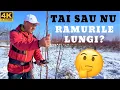 Lagu ✂️🌿Ce facem cum ramurile foarte inalte la un prun de 2-3 ani?🌳