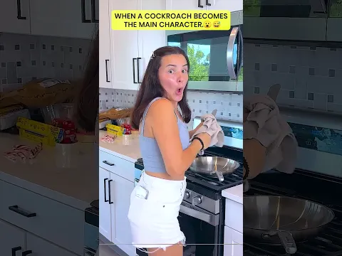WHEN A COCKROACH BECOMES THE MAIN CHARACTER.
