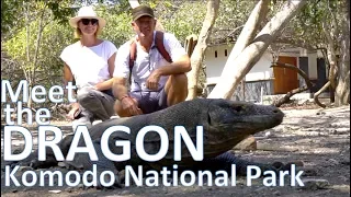 Meet the DRAGON – Komodo National Park / Sailing Aquarius #64