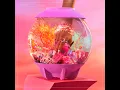No Settling - Ari Lennox