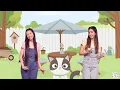 Where Is Antônio? - Children's Music