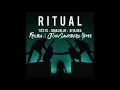 Tiesto, Jonas Blue & Rita Ora - Ritual (Froba & John Sandberg Remix)