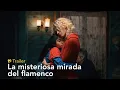 Lagu La misteriosa mirada del flamenco - Trailer