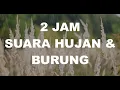Lagu 2 JAM RELAKSASI SUARA HUJAN DAN KICAUAN BURUNG | MUSIK TIDUR INSOMNIA