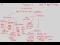 Gene Expression - Translation I BIALIGY com