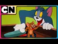 Download Lagu Tom and Jerry 😺🐭| The Cat House Takeover! 🫨| Best Animations😆| @cnindia​