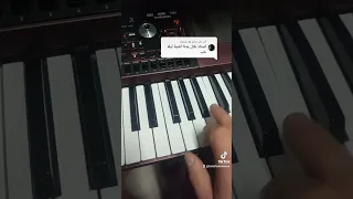 تعلم ليلة حب مع بلال هشلمون عازف اورغ متواضع 