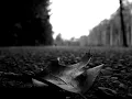 BrunuhVille - Broken Bonds
