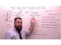Download Lagu The Sin of Fornication