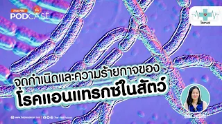 วัคซีนแอนทรคมีประสิทธิภาพหรือไม่