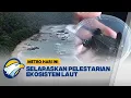 Download Lagu Gunungkidul Selaraskan Pelestarian Ekosistem Laut - [Metro Hari Ini]
