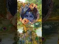 Download Lagu Krishna hai vistaar#radhakrishna#shorts#youtubeshorts