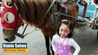 Download Riding a Horse Carriage ❤ Indonesian Children's Song MP3