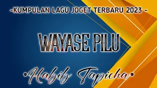 lagu joget jalan wayase pilu remix terbaru 2023 by wmp