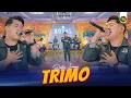 Download Lagu DELVA IRAWAN - TRIMO ( Official Live Video Royal Music )
