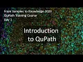 Introduction to QuPath