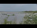 Floodwaters reach Lake Corpus Christi as levels continue to rise