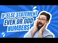 Python If-Else Statement Explained Check Even or Odd Number in Python