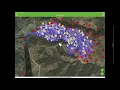 How to use EDDMapS Pro