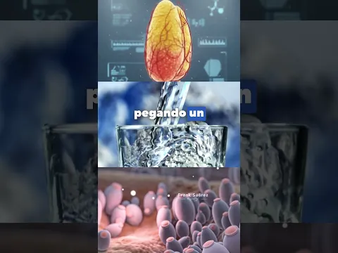 Descubriendo el metabolismo.