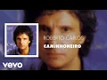 Download Lagu Roberto Carlos - Caminhoneiro (Áudio Oficial)