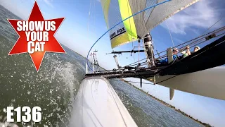 Show us your Cat! Episode 136 Austria, Dubai and UK