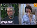 Download Lagu WeTV Original Butterfly of the Night | EP06C Clip | Arif's secret was exposed | ENG SUB