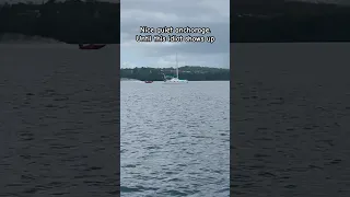 Nice quiet anchorage ruined by idiot on rental boat #boatfails #idiotsinboats #unsafe