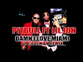 Lagu Pitbull ft Lil Jon - Damn I Love Miami (Dj Codeman remix)