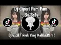 Download Lagu DJ CIPERI PAM PAM BY SCFY VIRAL TIKTOK TERBARU 2024 YANG KALIAN CARI !