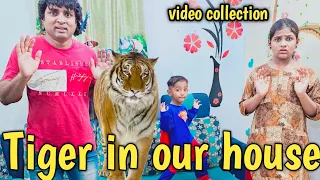 Tiger in our house 🐅 🐯 | comedy video collection | Prabhu Sarala lifestyle 